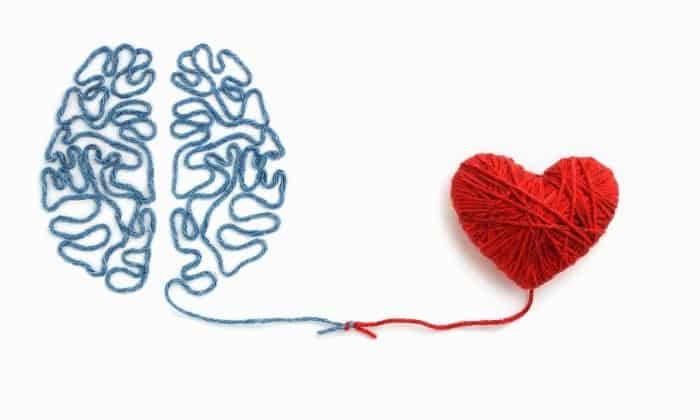yarn heart and brain
