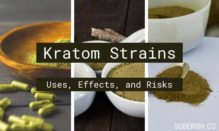 Kratom Strains – What’s the Difference and Are They Safe?
