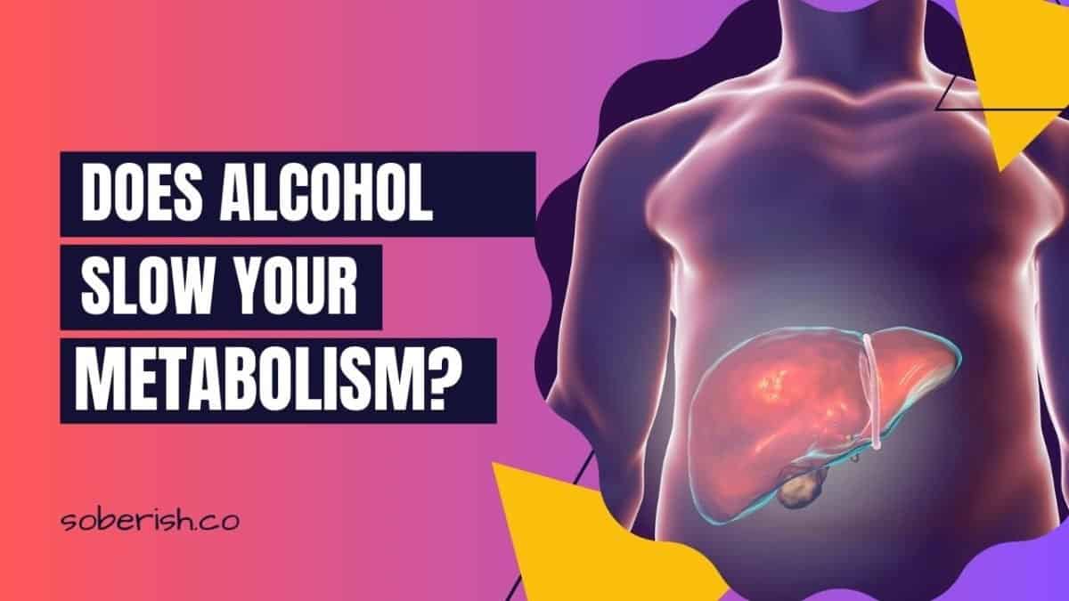 An image of a human shape with a glowing liver. The title says "Does alcohol slow your metabolism?"