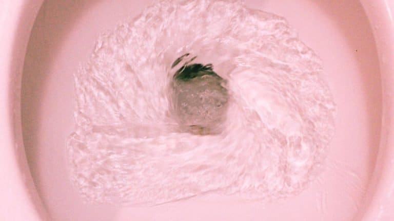 Why Does Alcohol Make You Pee So Much?