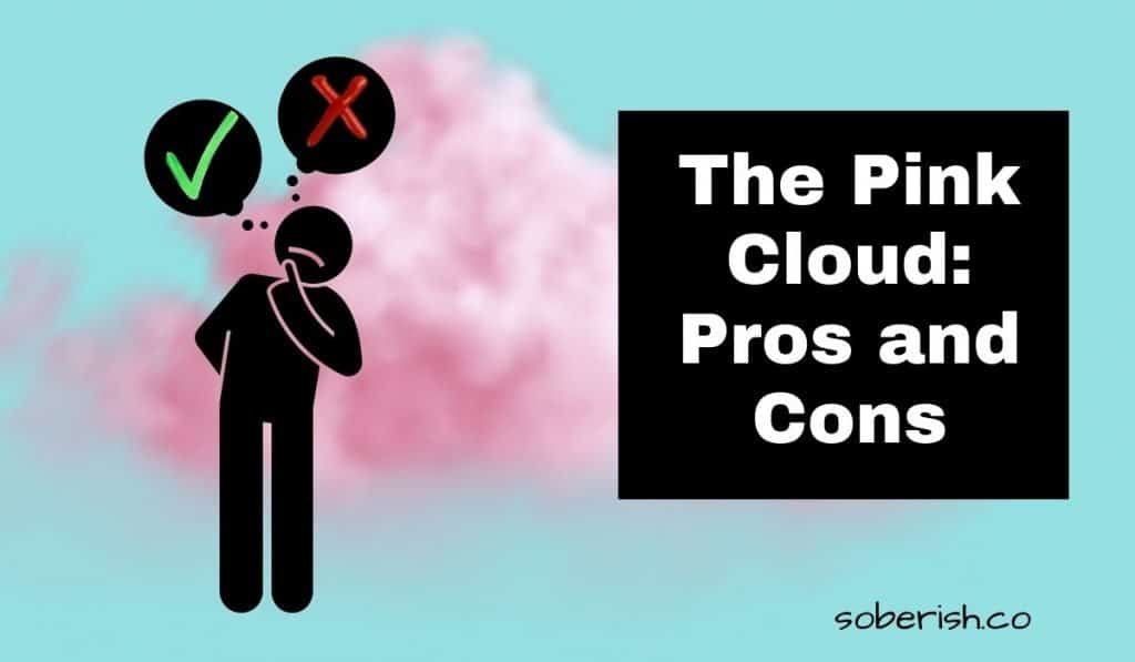 A stick figure contemplates two thought bubbles - one with a green check and one with a red x. Behind him is a pink cloud. The title reads The Pink Cloud: Pros and Cons and the URL reads soberish.co