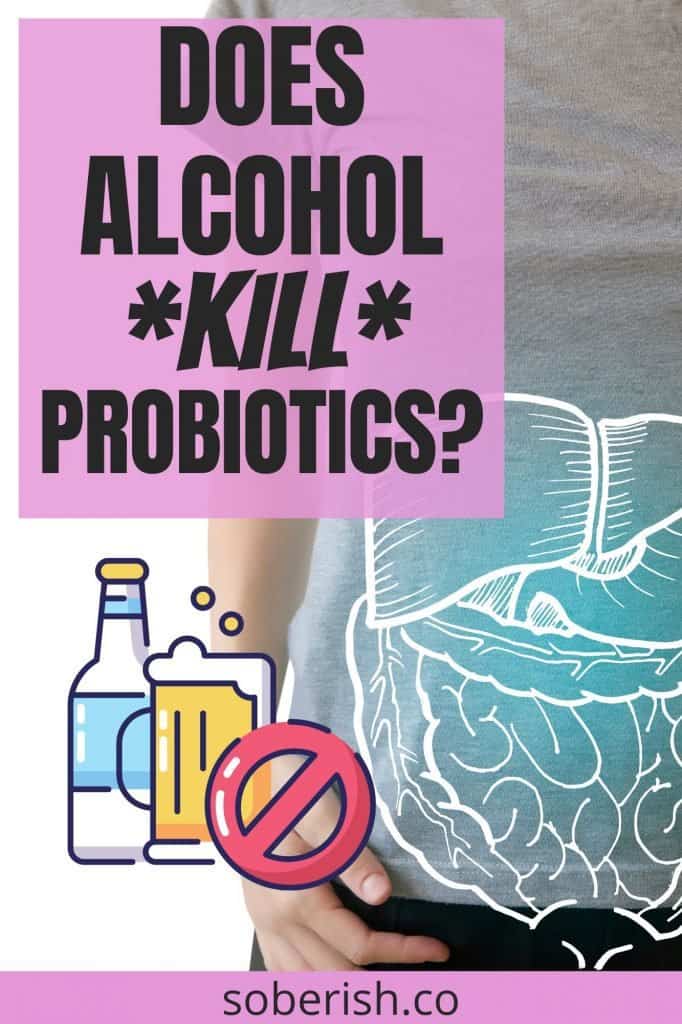 Close up image of a woman's torso with a graphic overlay of her digestive tract. To the left of her is a graphic of a beer mug and beer bottle with a red circle slash. The title reads Does alcohol kill probiotics?