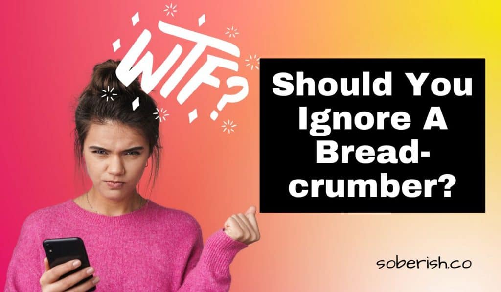 A young woman looks at her phone with an annoyed expression on her face. There is a white WTF graphic above her head. The title reads Should you ignore a breadcrumber?
