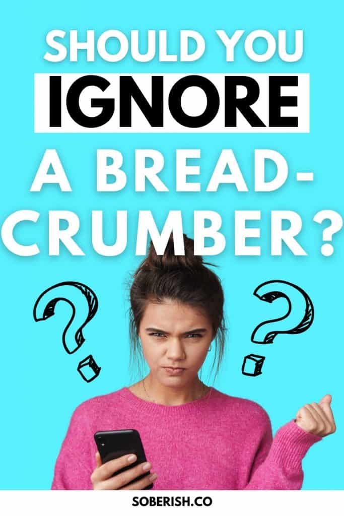 A woman in a pink sweater holds her phone looking confused and annoyed. Two black question marks frame her head. The title reads "Should you ignore a breadcrumber?" The URL reads soberish.co