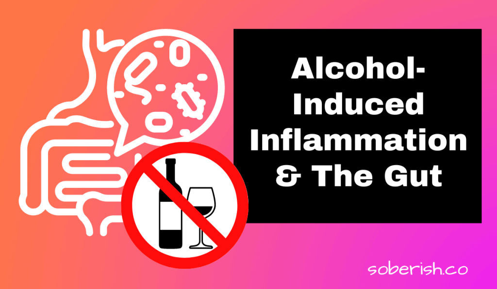 A graphic of intestines with a speech bubble full of bacteria. There is a sign indicating no alcohol. The title reads alcohol-induced inflammation and the gut