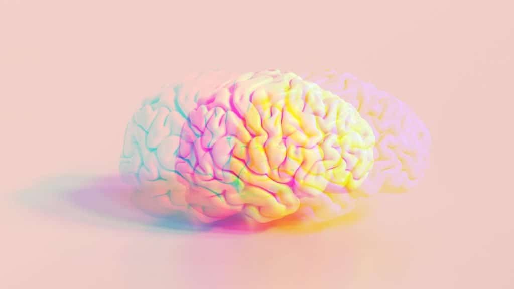 A split, rainbow colored image of a brain