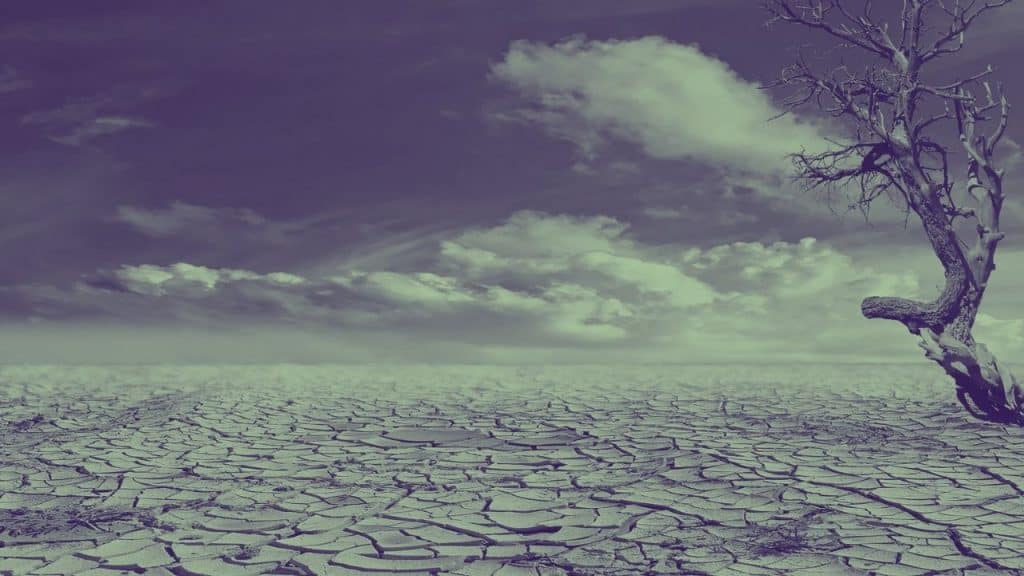 A dry, dehydrated landscape in the desert