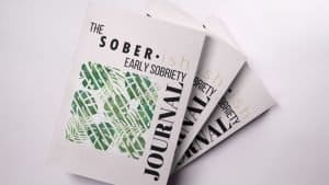 soberish early sobriety journals